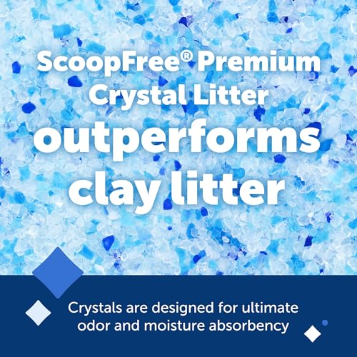 PetSafe ScoopFree Premium Crystal Cat Litter (2 Baggage, 4.3 Lbs Every - 8.6 Lbs Complete) - Ultimate for Kittens, Shortly Absorbs Urine, Dries Stable Waste, and Reduces Odors 5 Occasions Quicker